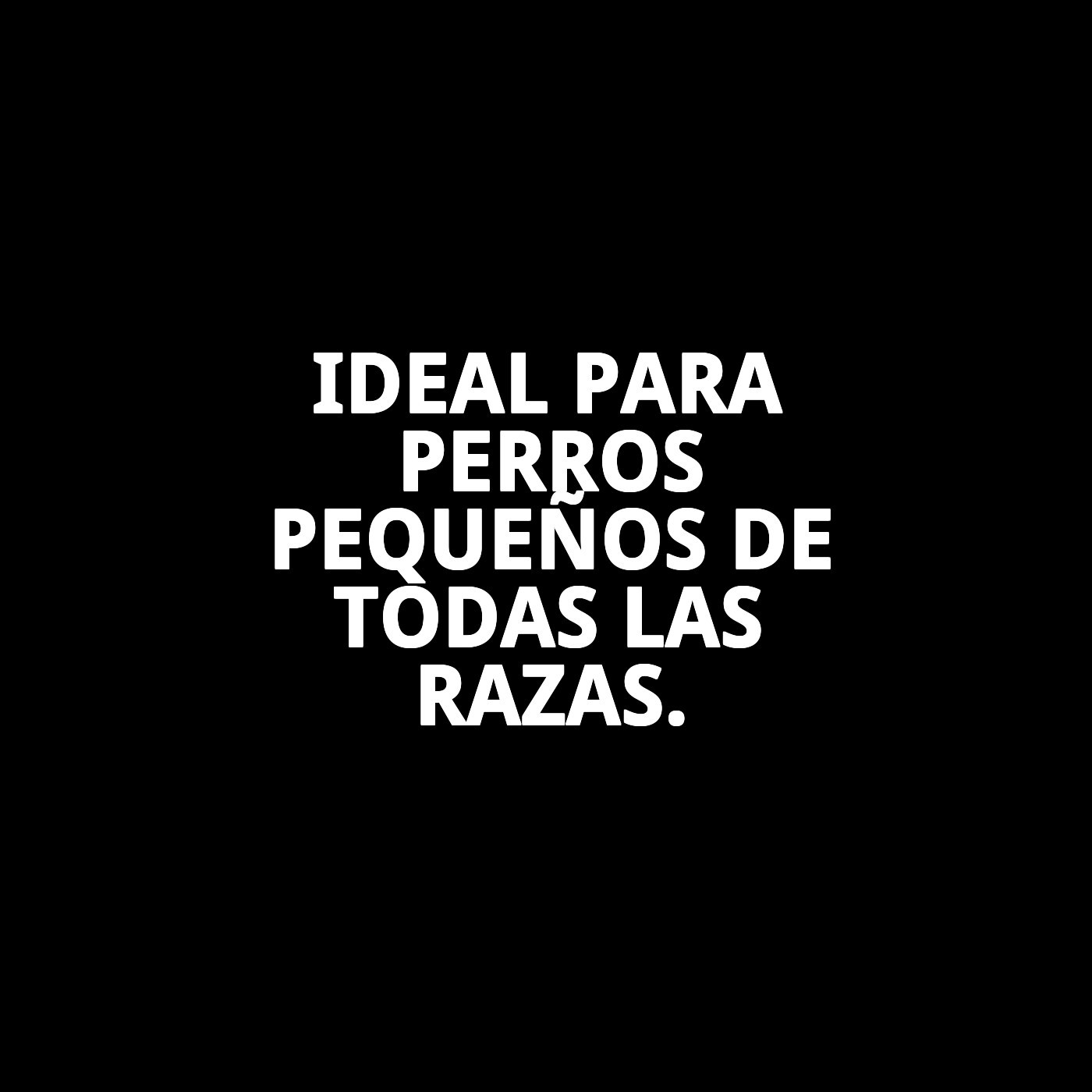 Tijeras Cortauñas para Perros y Gatos Pequeños | Corte Preciso y Seguro con Mango Antideslizante-Moly