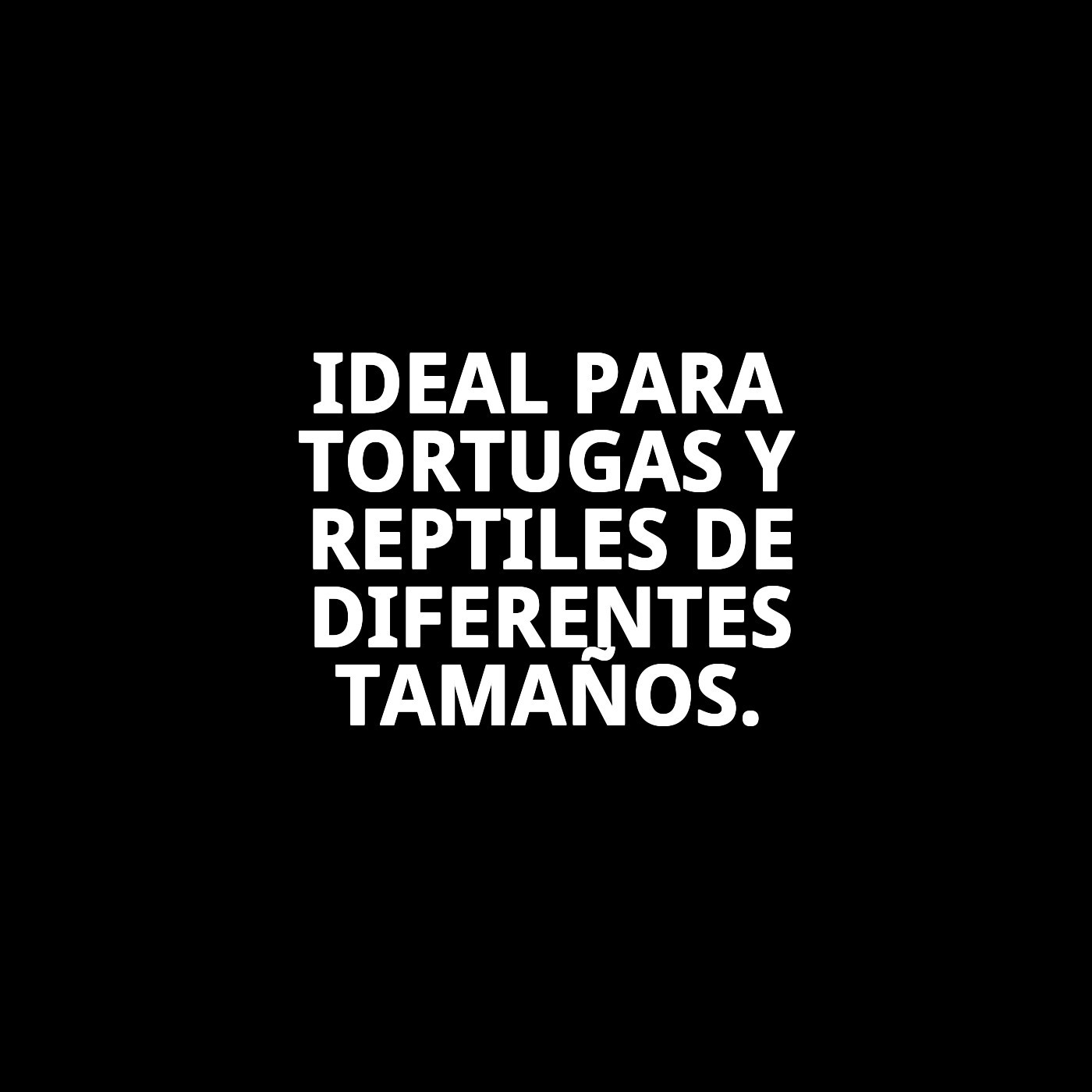 TORTUGUERA PLASTICO C/PALMERA 31X21X7,5 CM