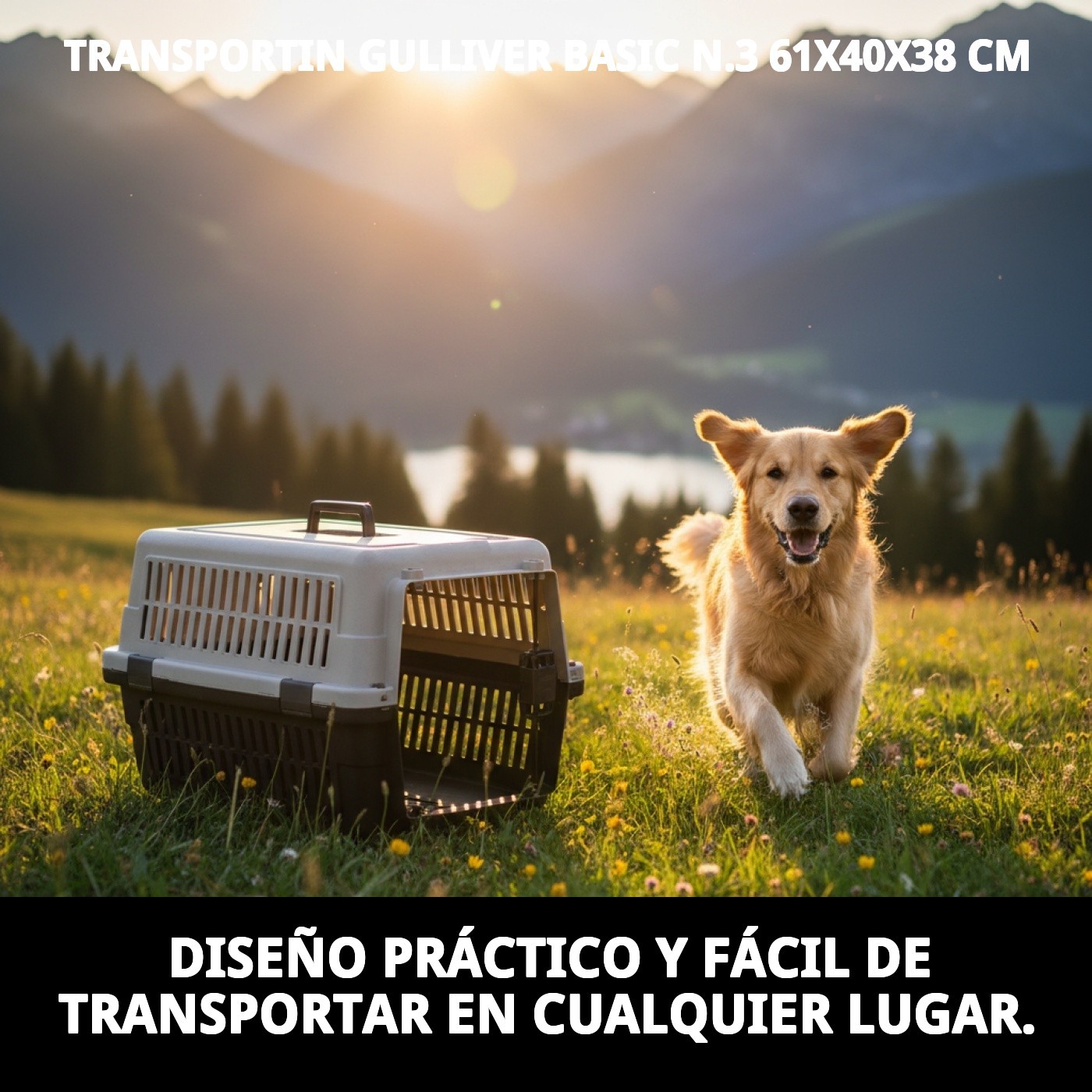 Transportín Gulliver Basic N.º 3 (61×40×38 cm) | Transportín Resistente para Perros y Gatos Medianos