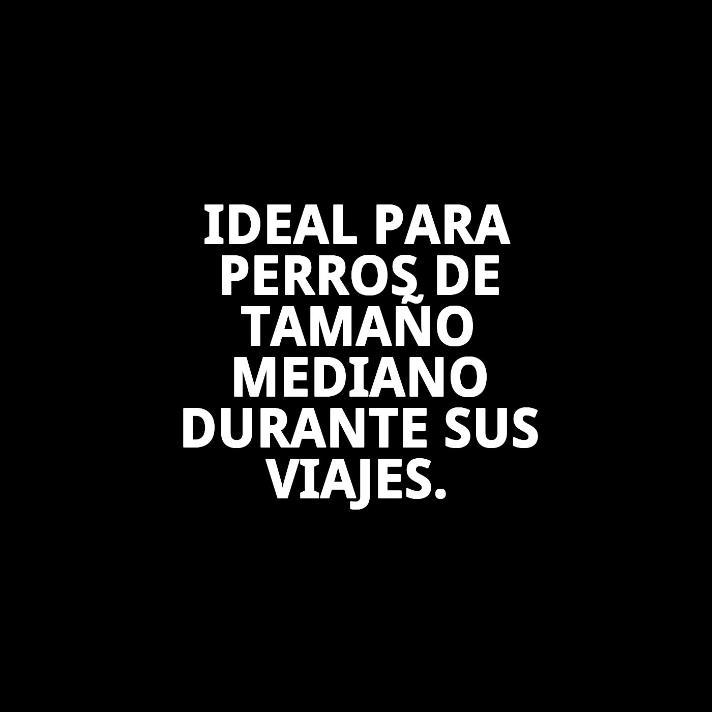 Transportín Gulliver IATA N.º 4 | Homologado para Avión, Barco, Tren, Autocaravana y Coche
