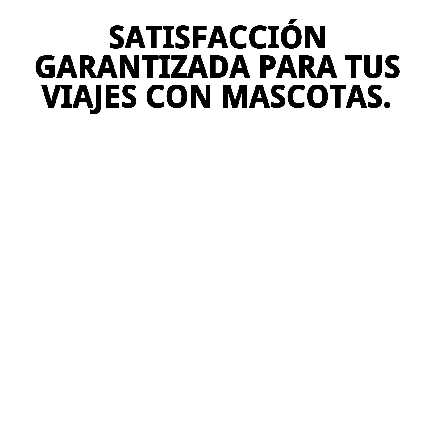 Transportín Gulliver IATA N.º 4 | Homologado para Avión, Barco, Tren, Autocaravana y Coche