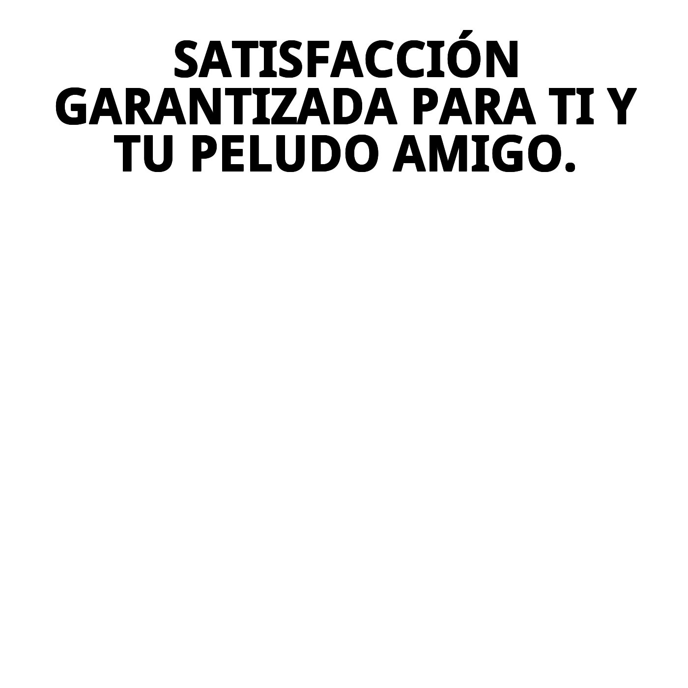 Transportín Gulliver IATA N.º 5 | Transportín Homologado para Avión para Perros Medianos