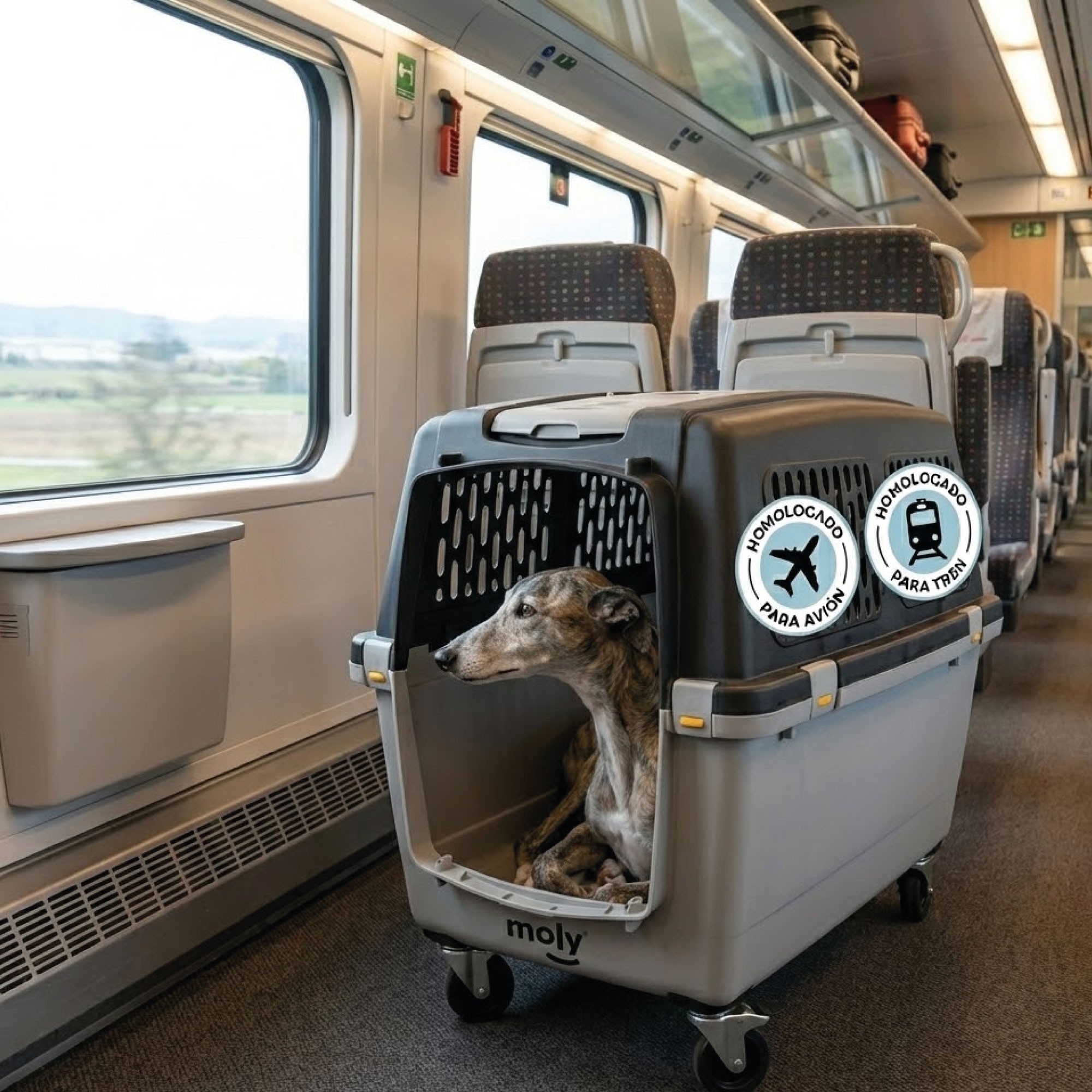 Transportín Gulliver IATA N.º 6 | Transportín Aprobado para Avión para Perros Grandes