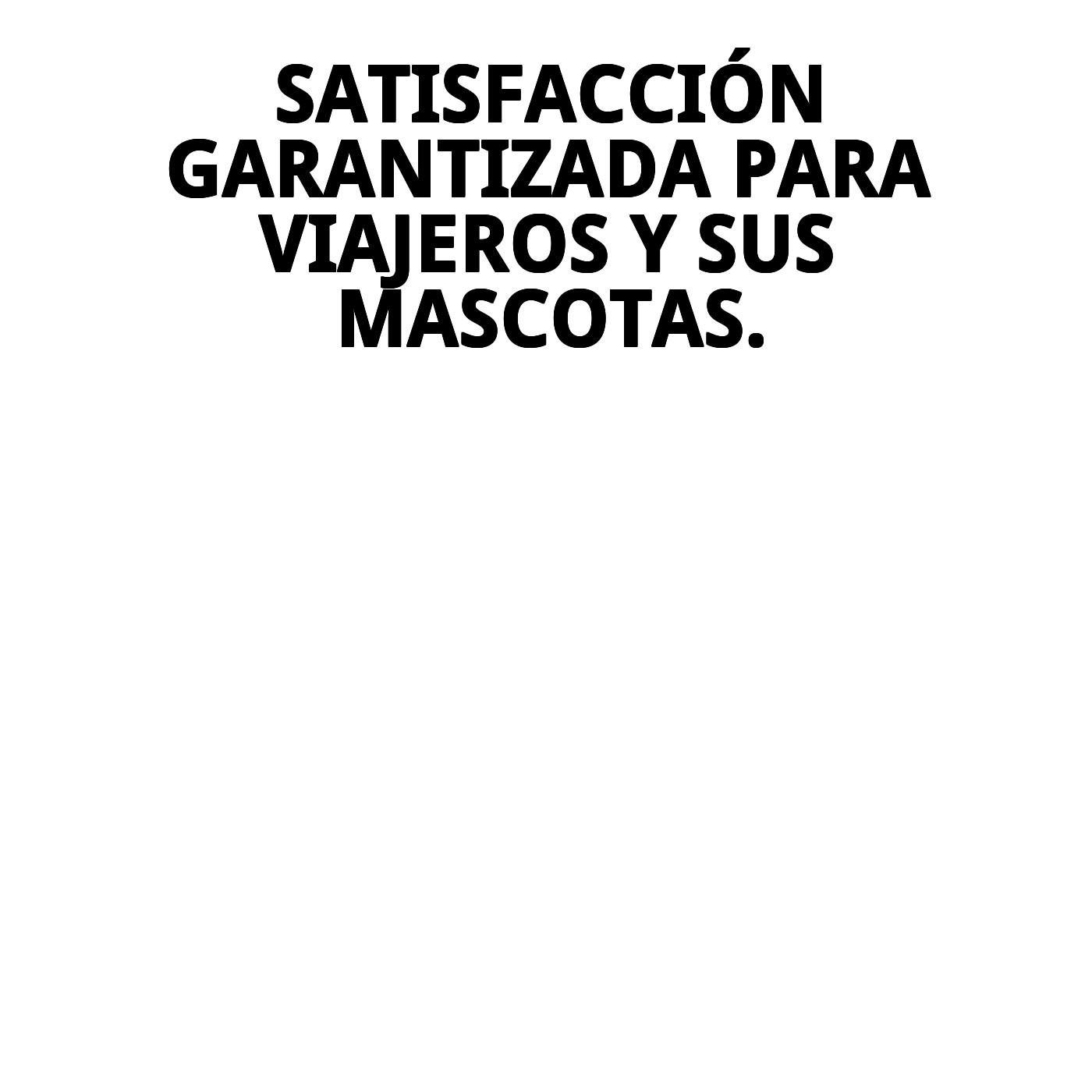Transportín Gulliver IATA N.º 6 | Transportín Aprobado para Avión para Perros Grandes
