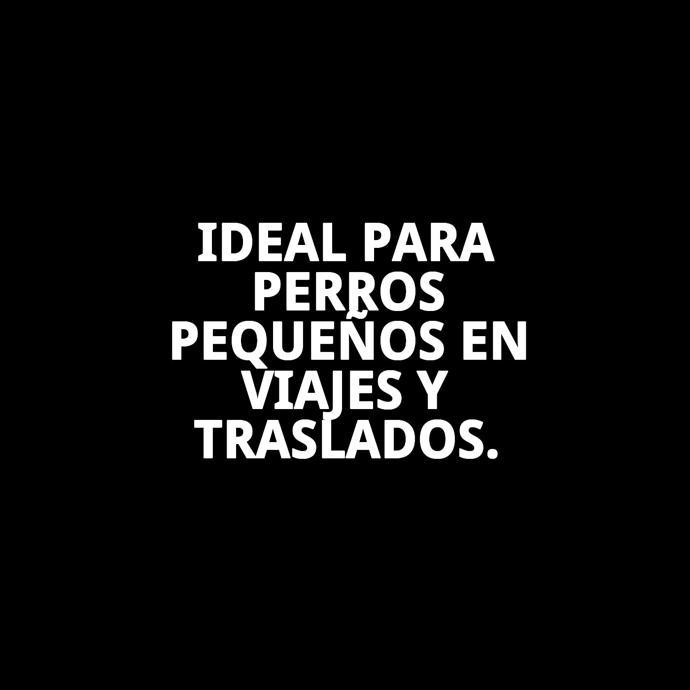 Transportín Gulliver N.º 1 48×32×31 cm | Transportín de Plástico Seguro para Perros y Gatos Pequeños