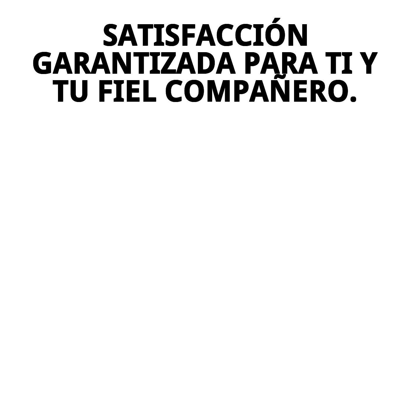 Transportín Gulliver N.º 2 55×36×35 cm | Transportín de Plástico Resistente para Perros y Gatos