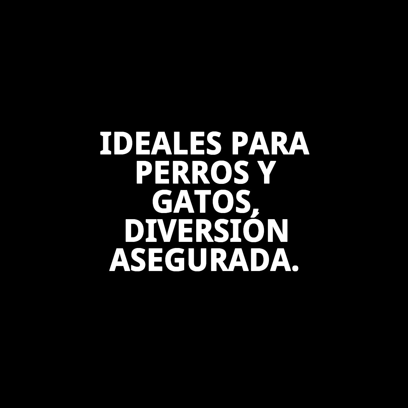 Traquea Deshidratada para Perros 14–17 cm (2 Unidades) | Premio Natural y Rico en Proteína