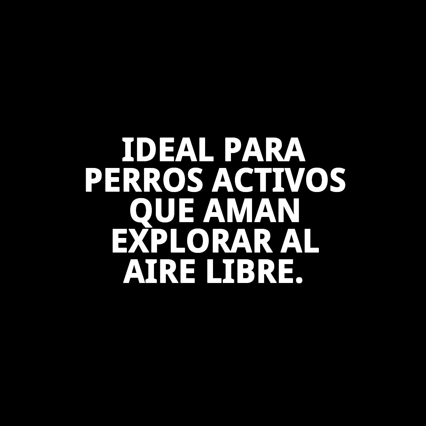 ZAPATOS MOLY MASCOTA T-L