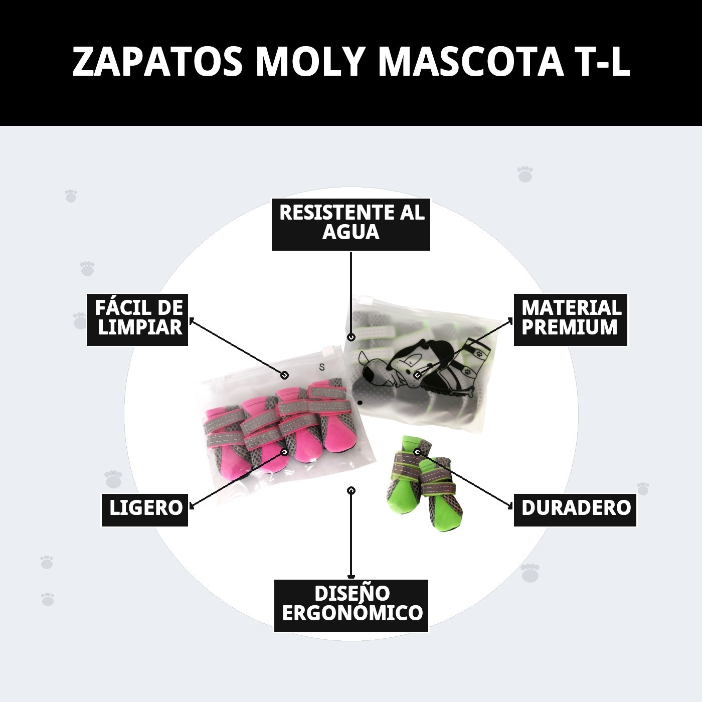 ZAPATOS MOLY MASCOTA T-L