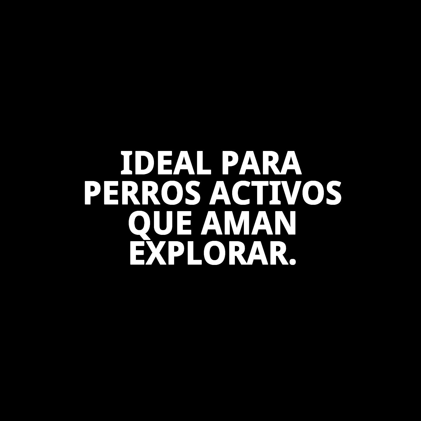 ZAPATOS MOLY MASCOTA T-M