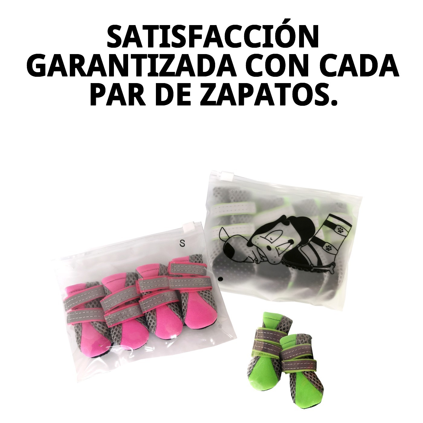ZAPATOS MOLY MASCOTA T-M