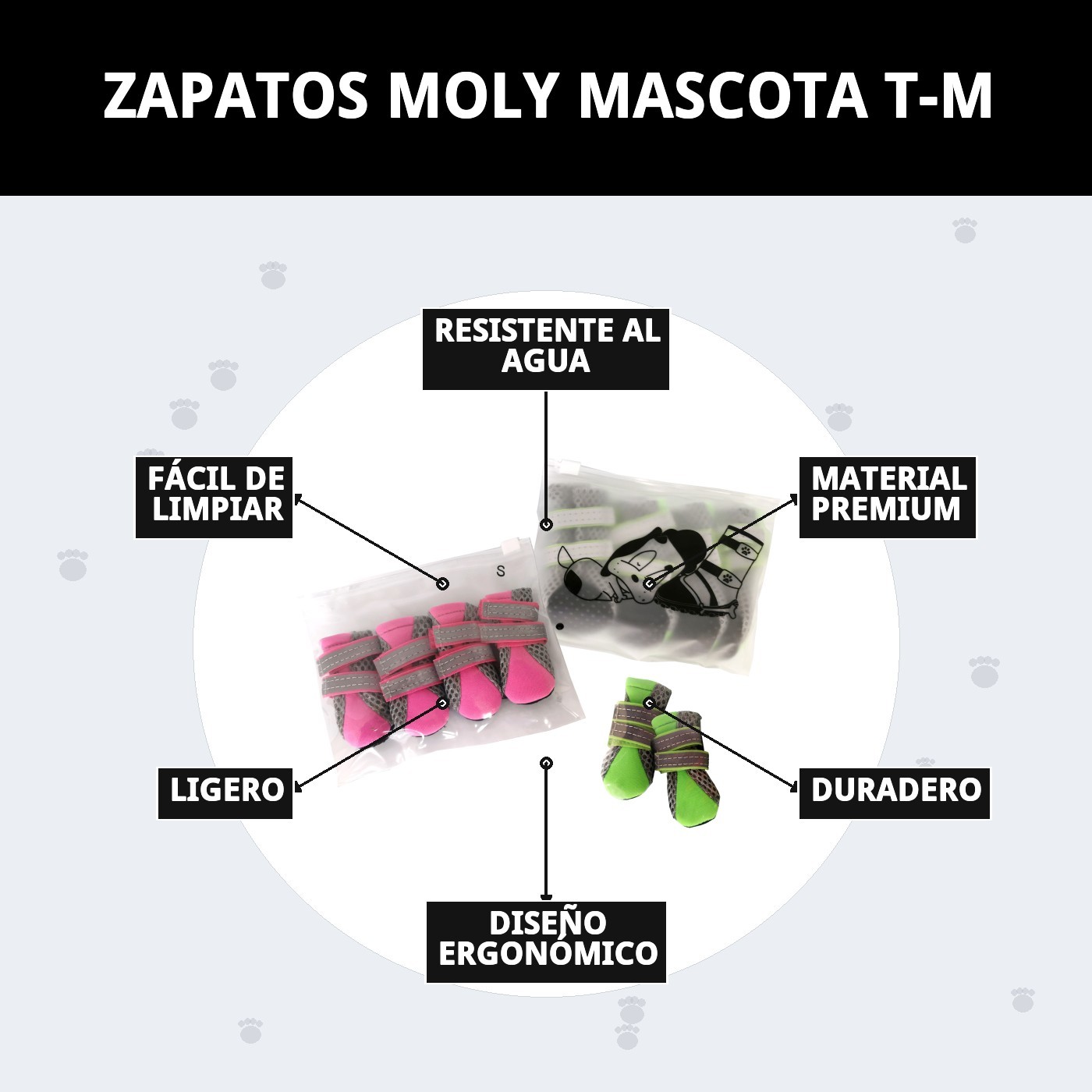 ZAPATOS MOLY MASCOTA T-M