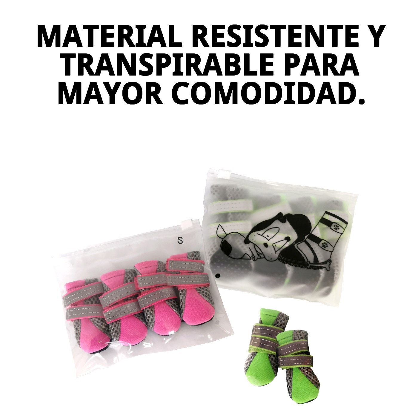 ZAPATOS MOLY MASCOTA T-S