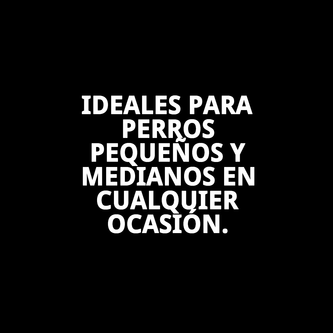 ZAPATOS MOLY MASCOTA T-S