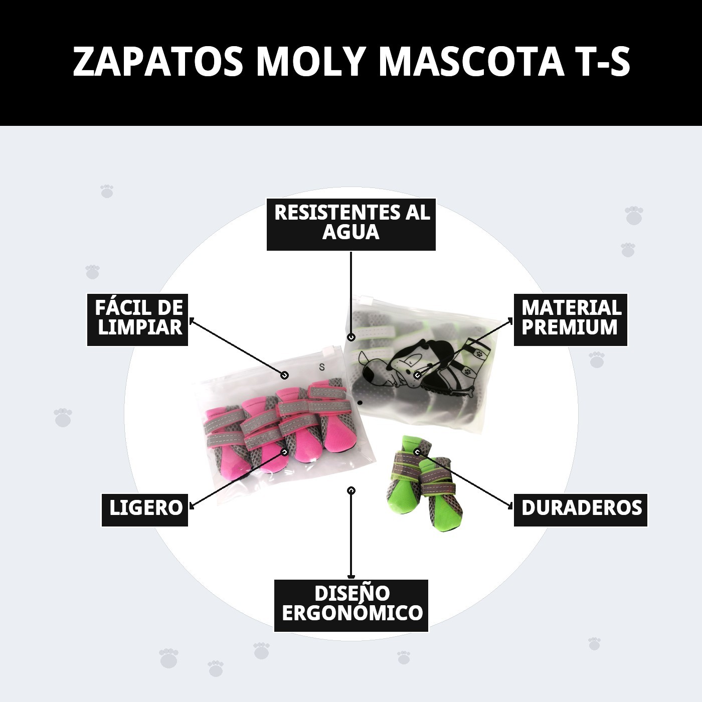 ZAPATOS MOLY MASCOTA T-S