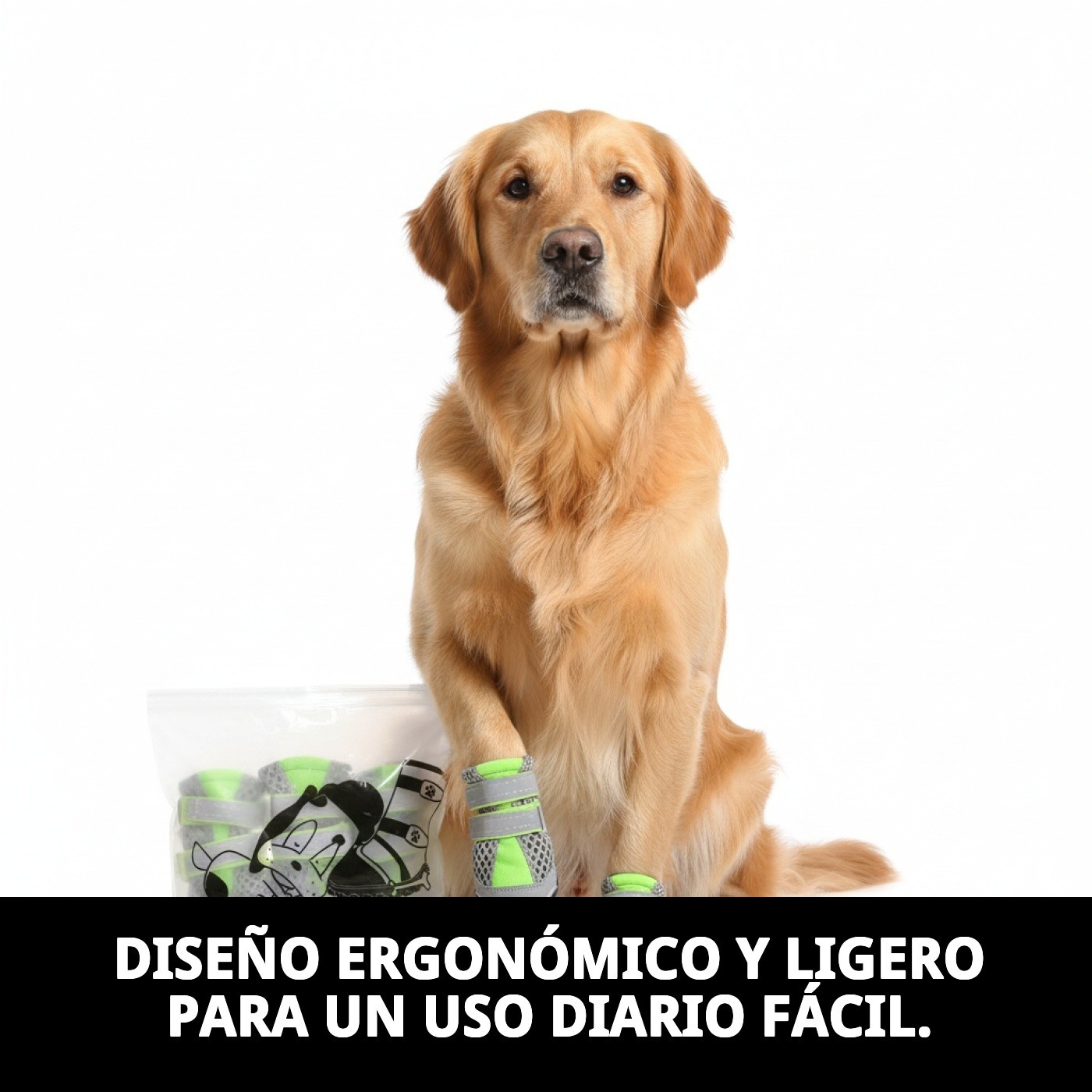 ZAPATOS MOLY MASCOTA T-XL