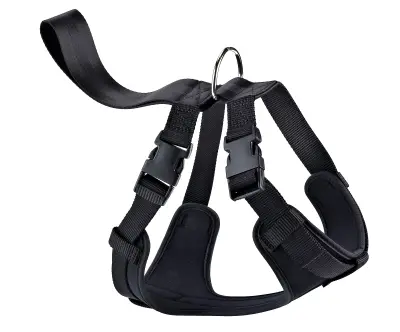 Arnés de Nylon de Seguridad y Paseo Talla Pequeña | Cómodo y Resistente para Perros – Moly