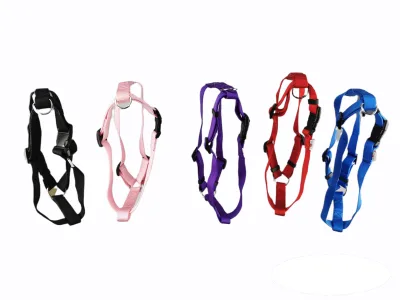 ARNES NYLON LISO 70-90cm X 2,5cm