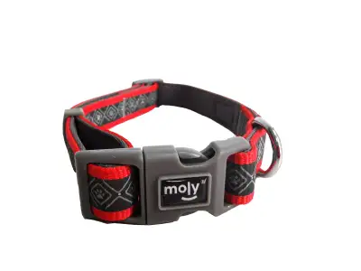COLLAR MOLY NEOPRENO RAINBOW REFLECT T-S