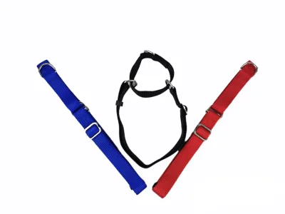 COLLAR NYLON ADIESTRAMIENTO 85X2.5 CM