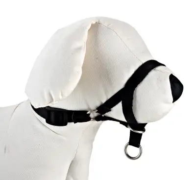 DOG CONTROL N3 32 CM