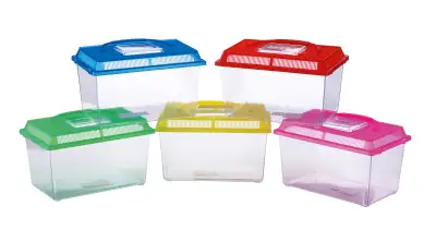 PECERA DE PLÁSTICO MOLY PEQUEÑA 18 X 11 X 14 CM CON TAPA Y ASA | ACUARIO PORTÁTIL PARA PECES ORNAMENTALES