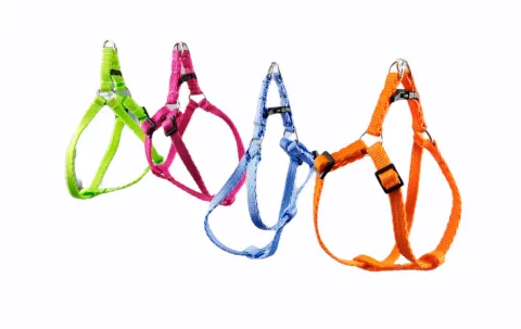 ARNES CON RAMAL FLUOR 1,3 COLORES