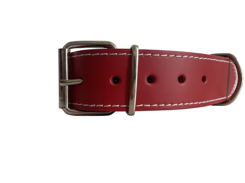 Detalle del cuero doble de alta calidad en collar para perro