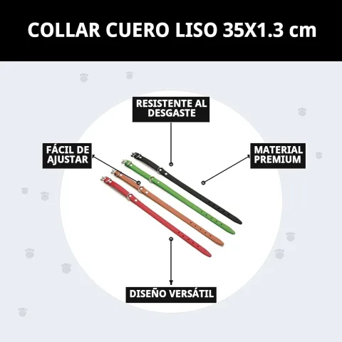 Presentación del collar de cuero liso para perros en Mar Mascotas