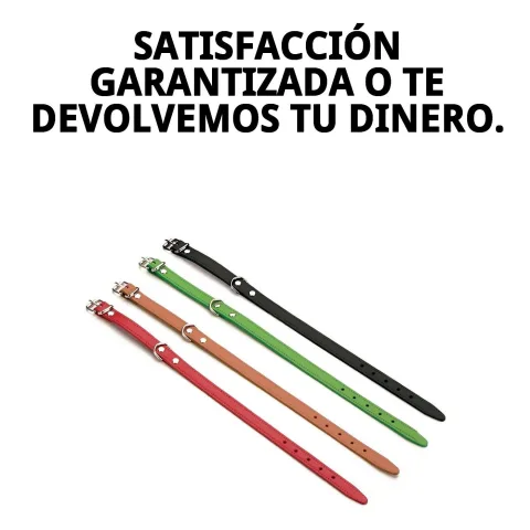 Collar de cuero liso con fondo blanco para catálogo