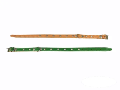 Collar de cuero liso 35 cm con fornitura para perros