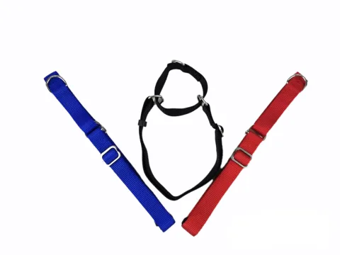 COLLAR NYLON ADIESTRAMIENTO 85X2.5 CM