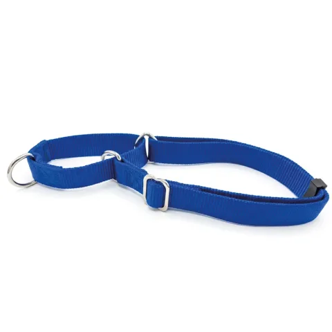 Collar nylon adiestramiento 85x2.5 cm vista frontal