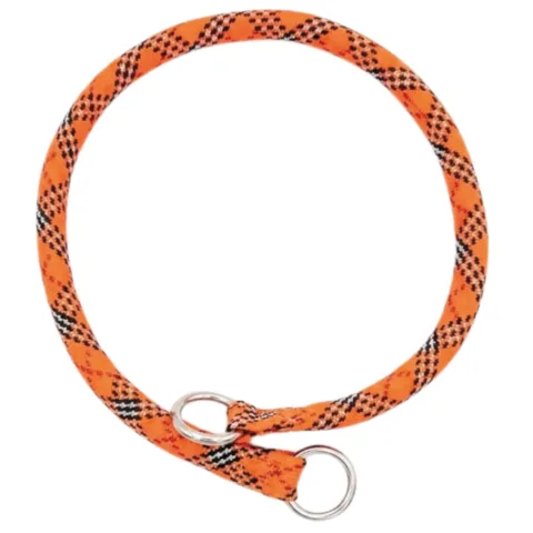 Collar nylon redondo colocado en perro de tamaño mediano
