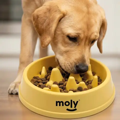 COMEDERO LENTO PARA MASCOTAS MOLY 22*5*4.5 CM