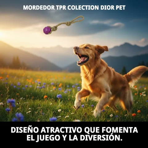 Perro mordiendo el mordedor TPR Collection Dior Pet