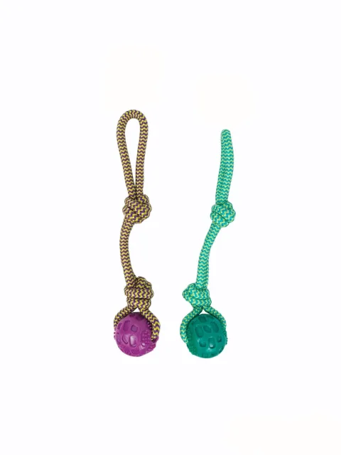 Mordedor TPR Collection Dior Pet para perros en color azul