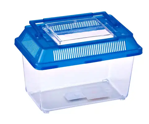 PECERA DE PLÁSTICO MOLY PEQUEÑA 18 X 11 X 14 CM CON TAPA Y ASA | ACUARIO PORTÁTIL PARA PECES ORNAMENTALES