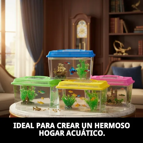Pecera con tortuga acuática dentro