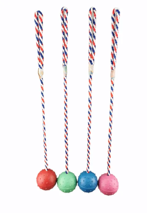 Pelota de caucho de 6 cm con ramal de nylon para perros