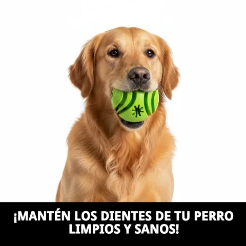 Pelota dental para perros en superficie blanca