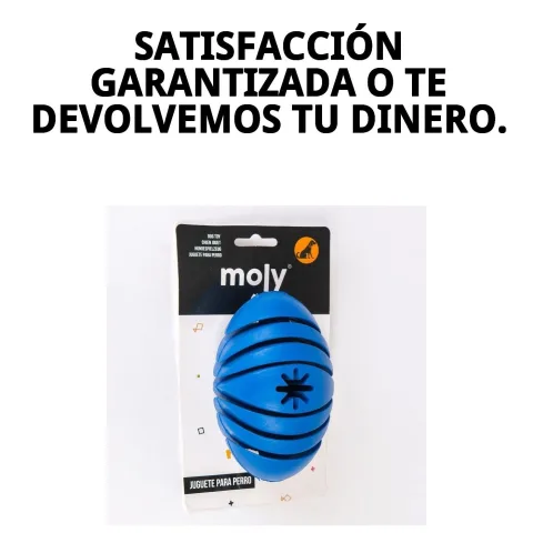 PELOTA RUGBY CAUCHO L