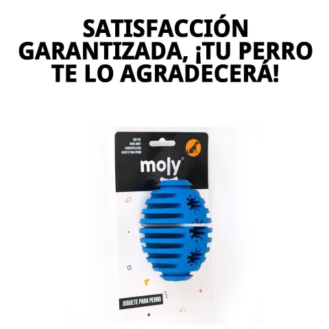 PELOTA RUGBY CAUCHO M