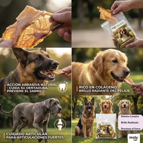 Snack natural para perros sin aditivos ni conservantes