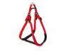 Arnés de Nylon Confort Acolchado 2,5 cm | Seguridad y Máxima Comodidad para Perros – Moly
