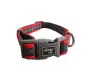 COLLAR MOLY NEOPRENO RAINBOW REFLECT T-S