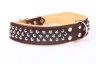 COLLAR PIEL LUXURY CLAVO 75 CM