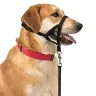 DOG CONTROL N.5 42cm